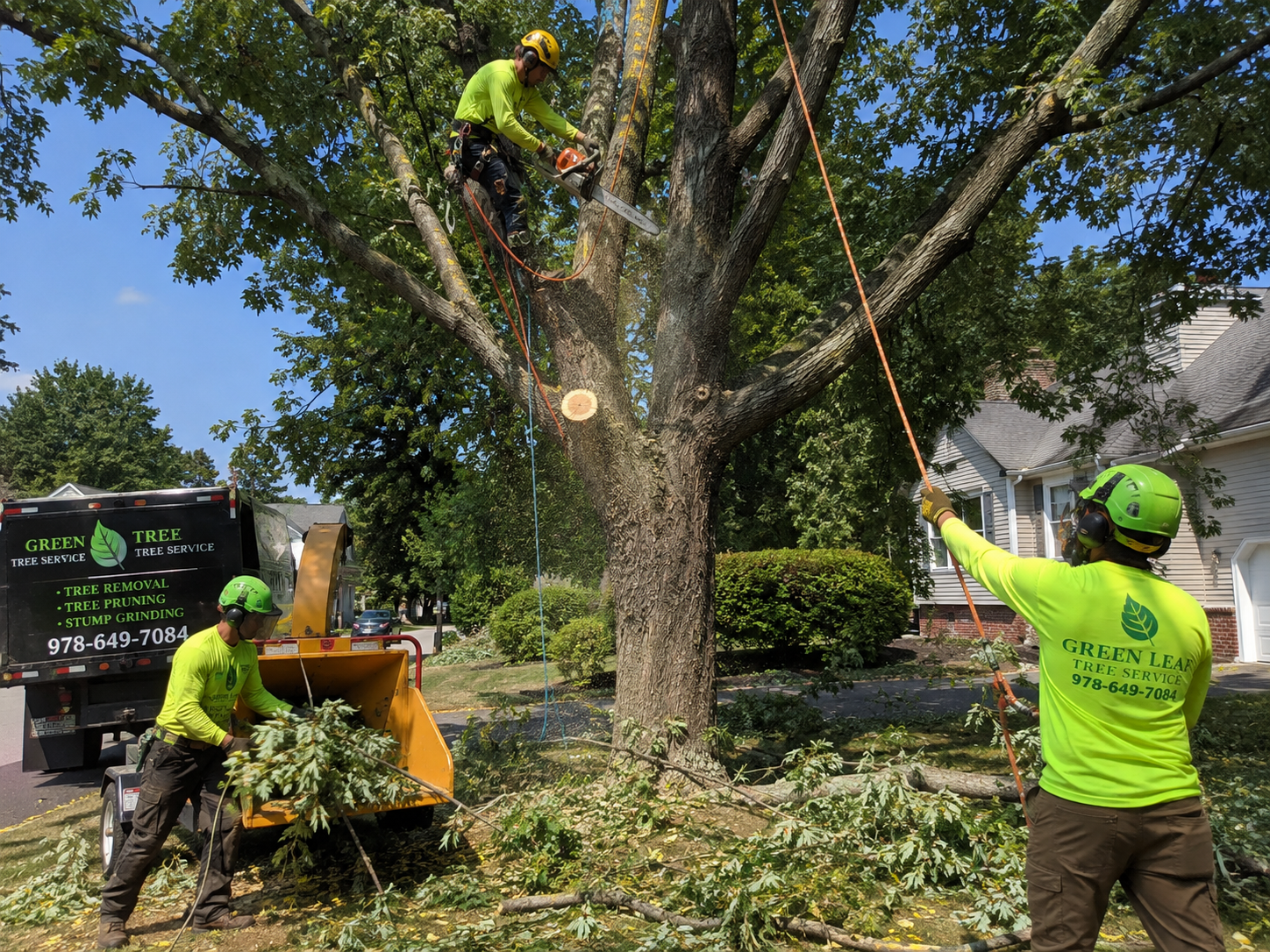 Tree Service Business